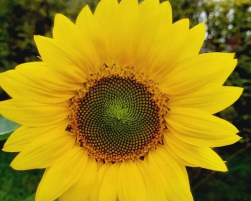 WhatsApp Image 2025-12-01 at 12.04.34_626be784